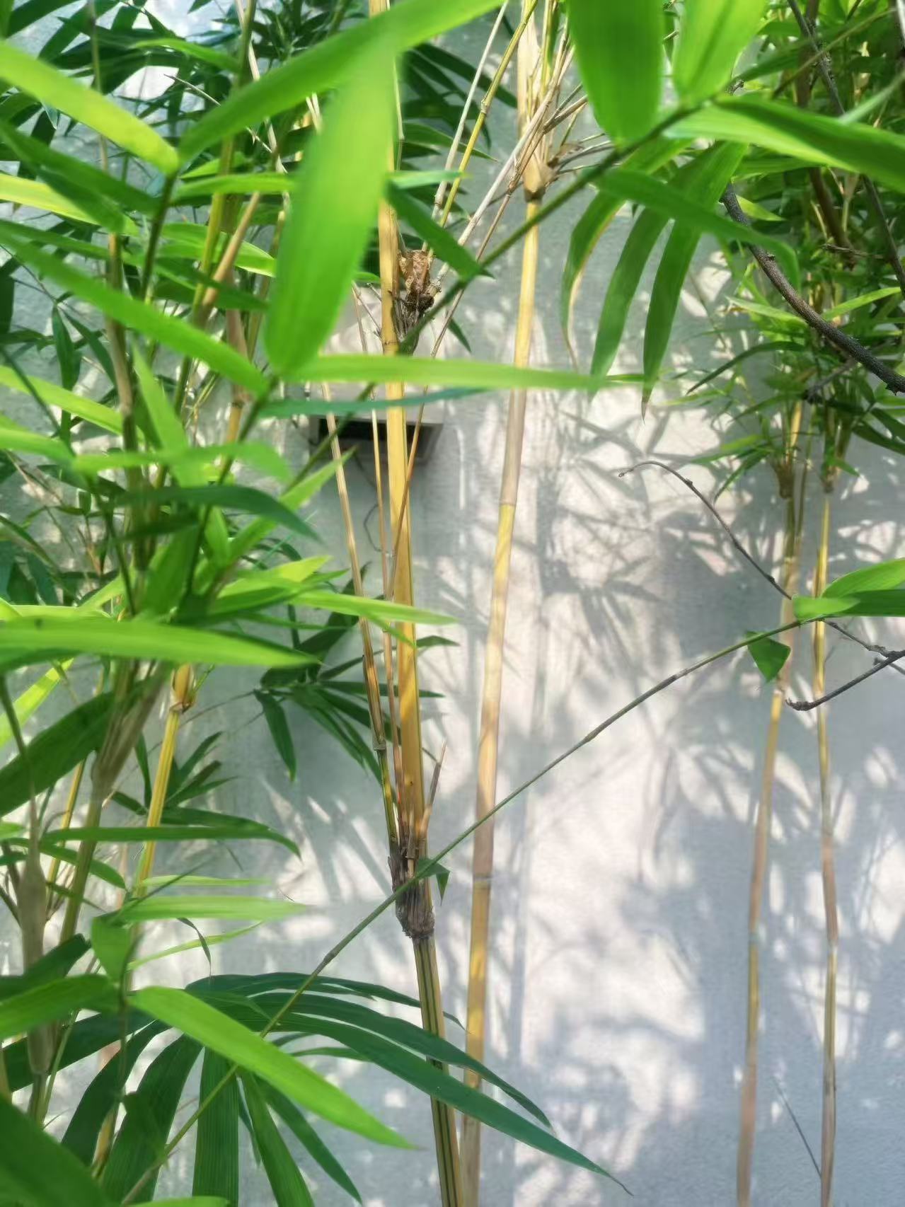 云善睡眠 · 5套压力管理方案，化解负担拥有安稳睡眠